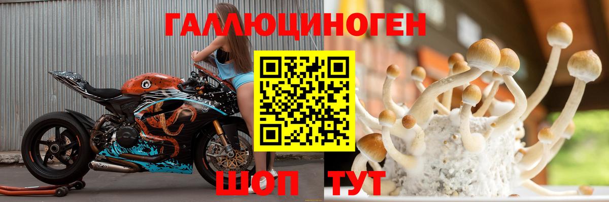 Псилоцибиновые грибы ЛСД  Вход с VPN  купить наркоту  Десногорск 